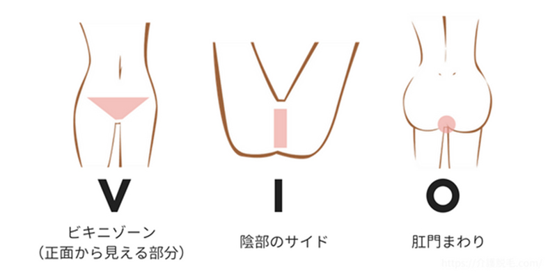 介護脱毛デリケートゾーンの説明