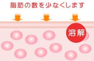 キャビテーションの効果「溶解」