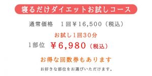 寝るだけダイエットお試しコース