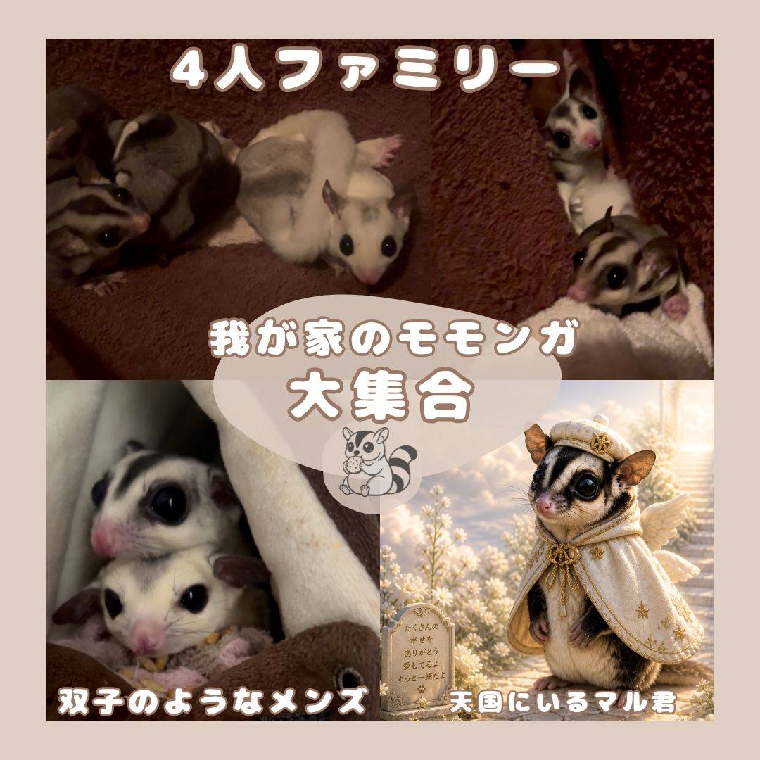 滋賀シミエステ西村洋子自己紹介